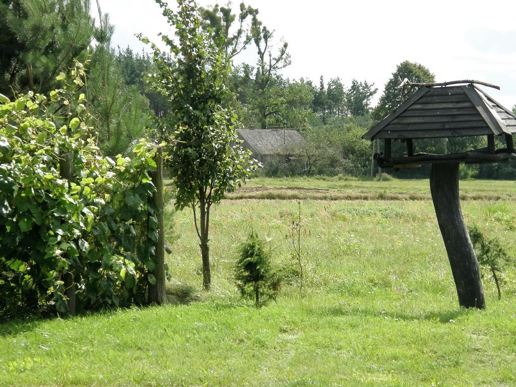 Agroturystyka "Bociek" Bełk Buitenkant foto