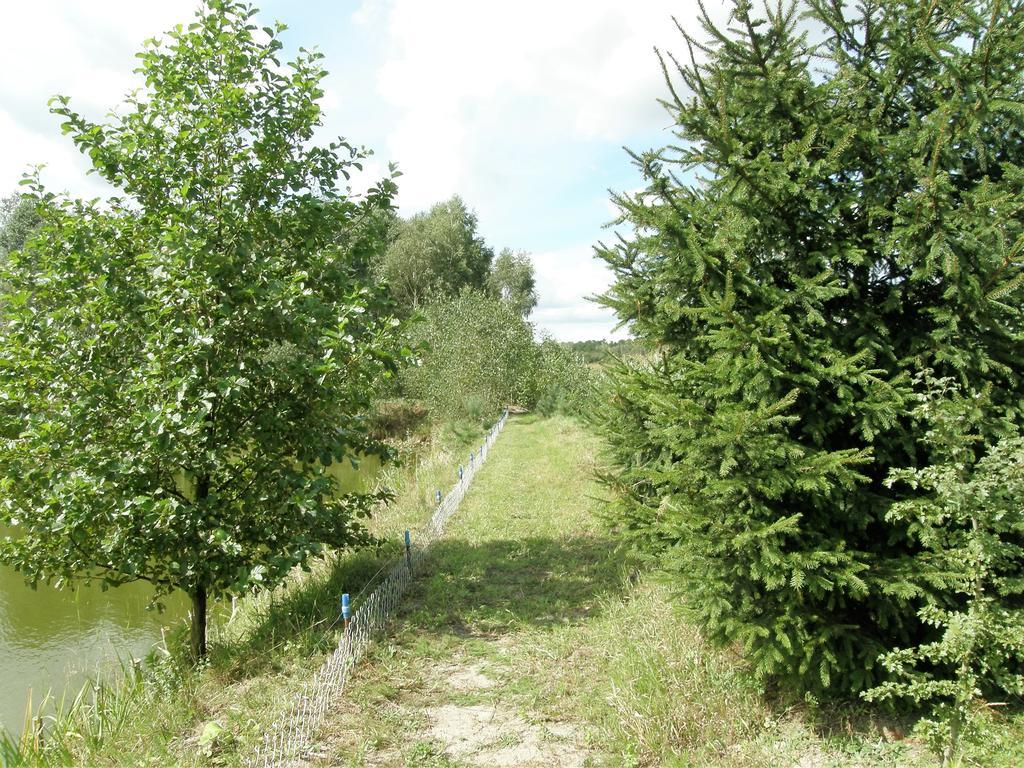 Agroturystyka "Bociek" Bełk Buitenkant foto