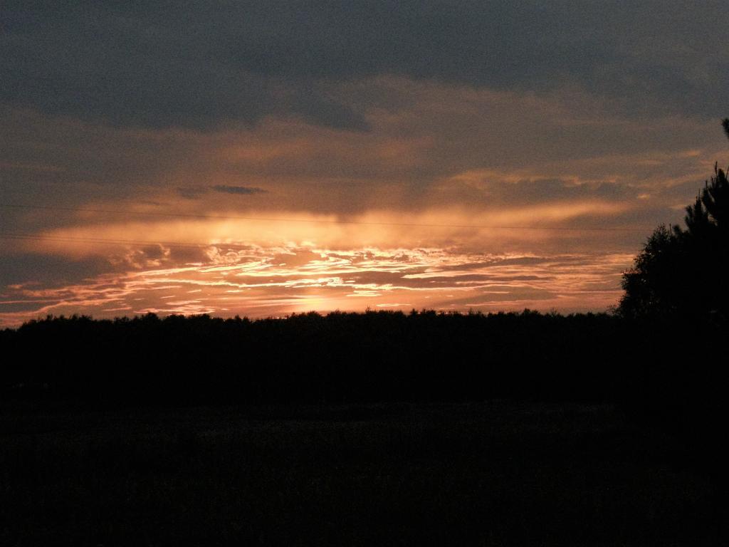 Agroturystyka "Bociek" Bełk Buitenkant foto